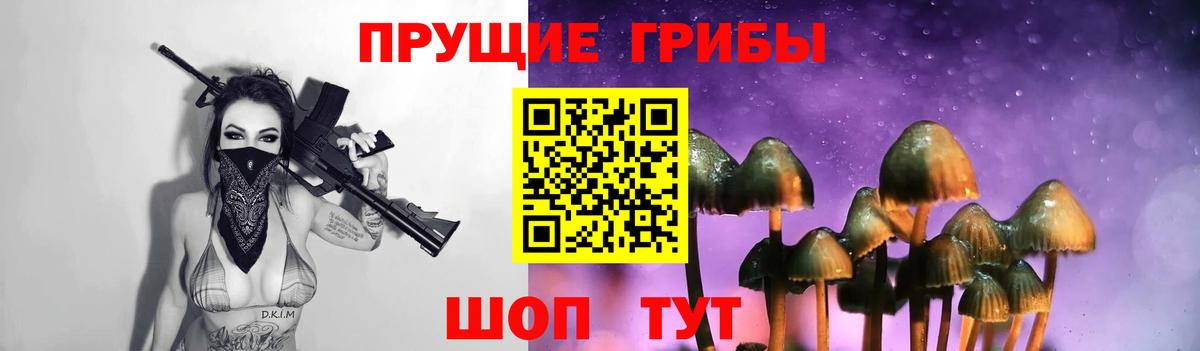 Торжок  Галлюциногенные грибы мицелий  Вход с VPN 